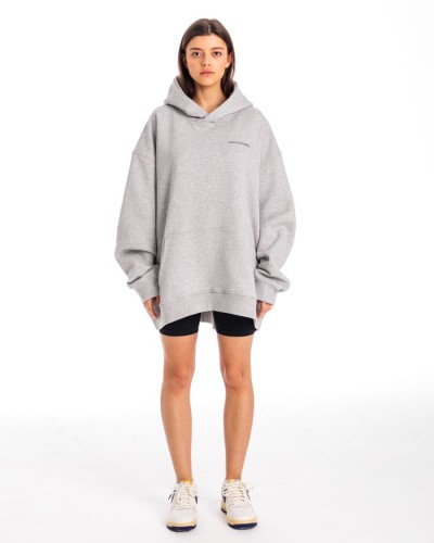 Hoodie Gray.jpg