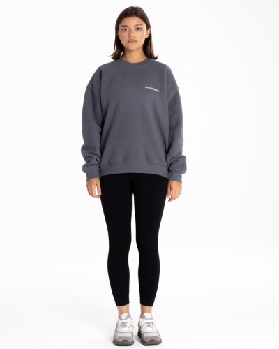 Crewneck Frost Gray 4.jpg