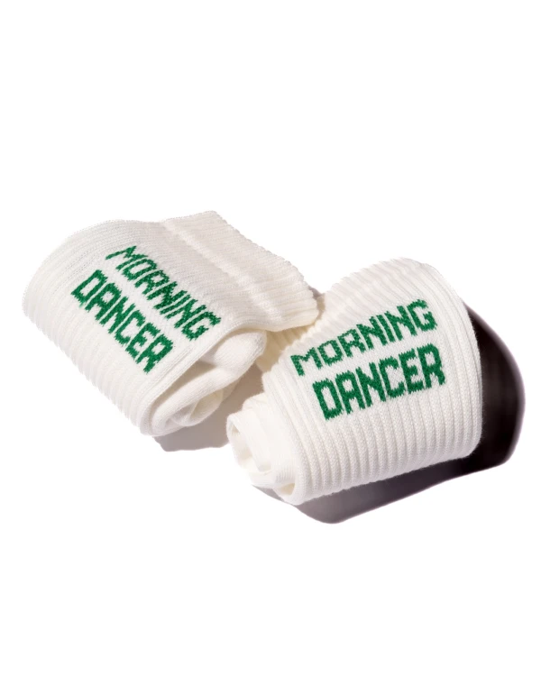 Morning dancer socks.jpg