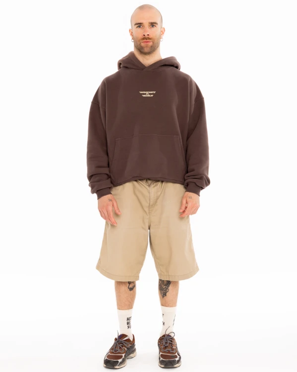 Niedzielni brown M1.jpg